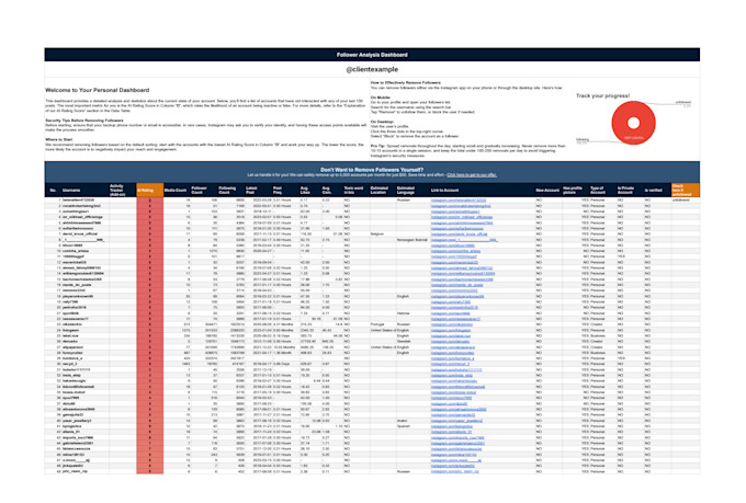 perform a professional instagram follower quality audit